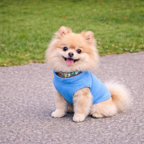 Dog Fleece Vest Sweater with Leash Ring (M (6-10lbs) / Blue)