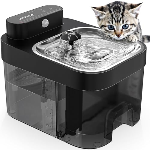Cat Water Fountain (Black)