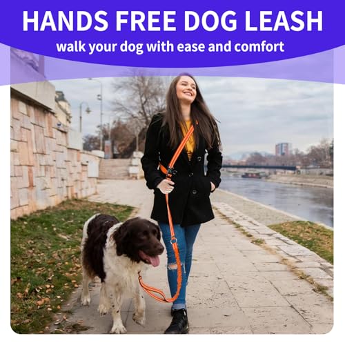 Hands Free Dog Leash by Kazazoo (ORANGE Bungee / M)