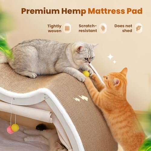 Cat Houses for Indoor Cats (24.4*16.9*19.7"/Flat Roof (L))