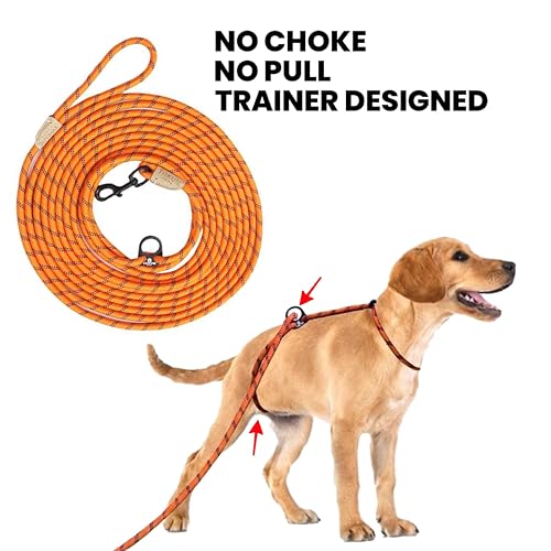 30ft Check Cord to Train Dog (30 Ft / ORANGE)