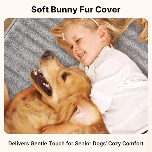 Orthopedic Dog Bed for Senior Dog (Gray / 48"L x 30"W x 7"Th)