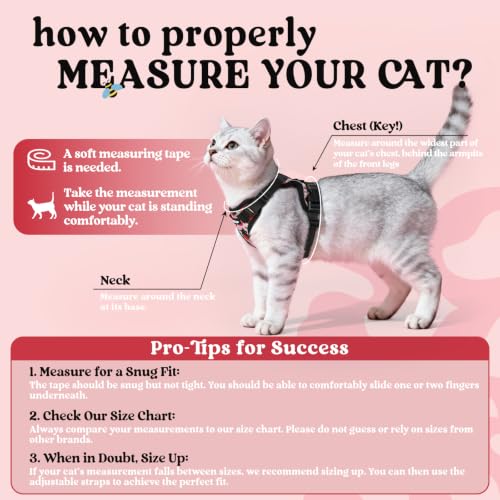 Cat Harness and Leash Set (Xxs / Berry Pounce)