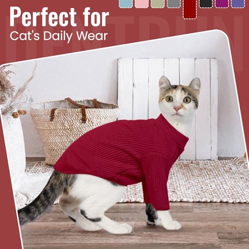 Sphynx Hairless Cats Shirt Pullover Kitten T (Large / Red)