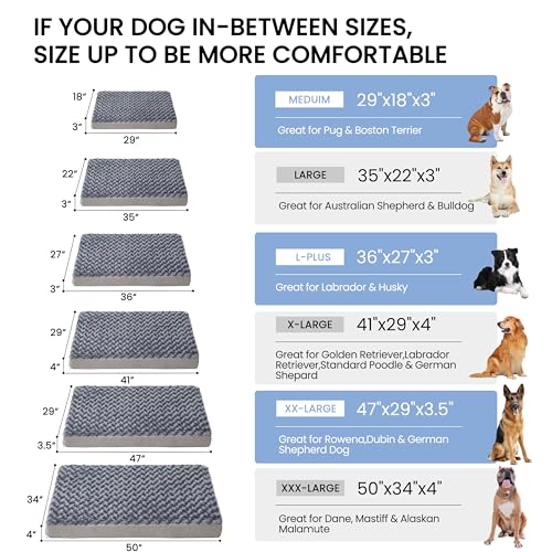 Orthopedic Memory Foam Bed for Large Dogs (Rose Plush / L Plus-36"x 27" x 3")