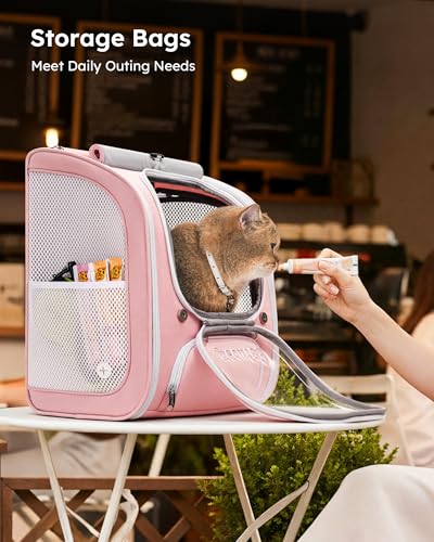 Cat Backpack Carrier (Pink / 12.6"L x 10.2"W x 16.5"H)