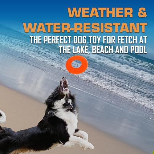 Atomic Flyer Outdoor Dog Toy (Orange / 10 Inch)