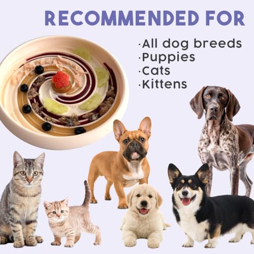 Lick Dish Silicone Dog & Cat Lick Mat Slow Feeder Dish (Periwinkle / Large)