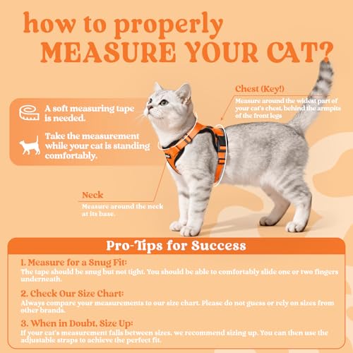 Cat Harness and Leash Set (Xxs / Orange)