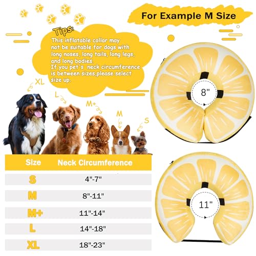 Inflatable Dog Cone Collar for Large Medium Small Dogs (Lemon / M+（neck 11"-14"）)