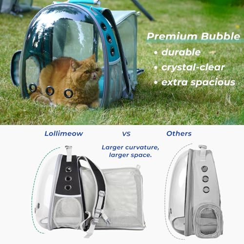 Cat Carrier Backpack (Square Back Expandable-Black)