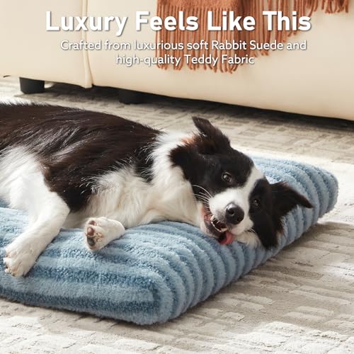Washable XL Dog Bed for Extra Large Dogs (Blue / 44.0"l x 32.0"w x 4"th)