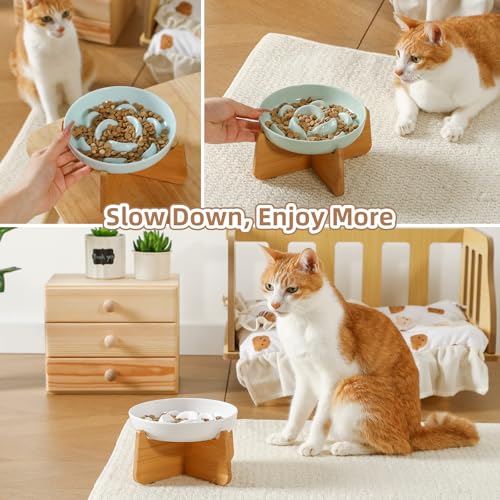 Elevated Slow Feeder Cat Bowl (Green + Bamboo Base / 7"H)