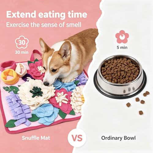 Snuffle Mat for Dogs (Small)