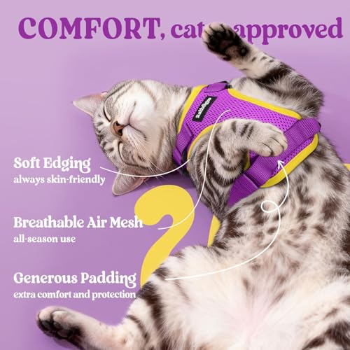 Cat Harness and Leash Set (Xs / Purple & Yellow)