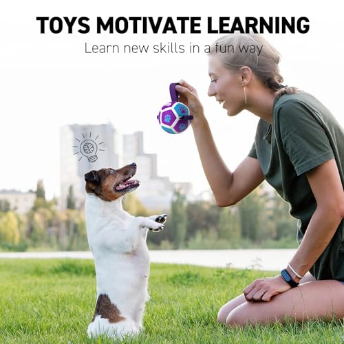 Small Dog Toys (Purple Blue / 3.5 Inch)