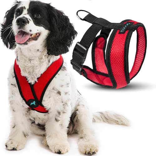 Comfort X Head (X-Large Chest (20.5-28") / Red)