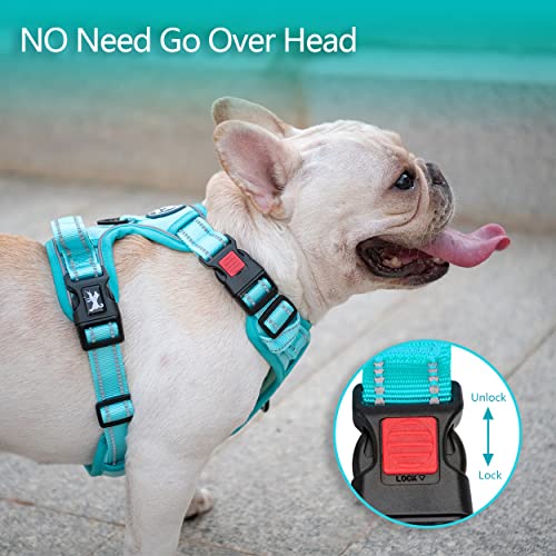 No Pull Dog Harness (S / Mint Blue(Matching Trim))