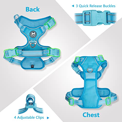 No Pull Dog Harness (L / Blue(Matching Trim))