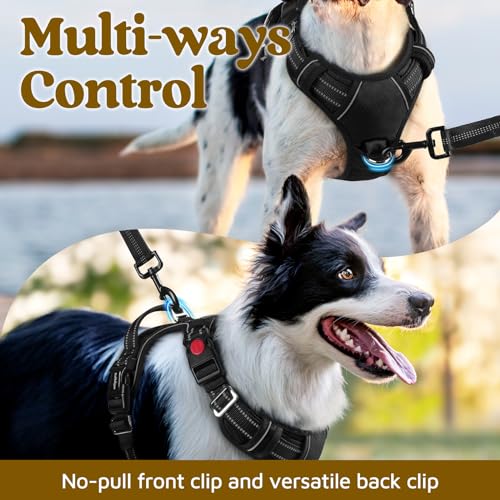 Dog Harness for Large (Black / Large)