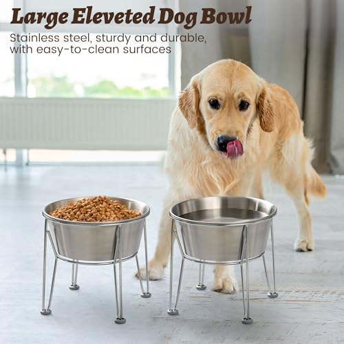 Elevated Dog Bowls for Large & Medium Dogs (8 Cups / Raised Bowl)
