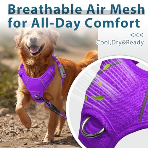 No Pull Dog Harness for Large Dogs (Large(Chest:24.5-32.5") / Purple)
