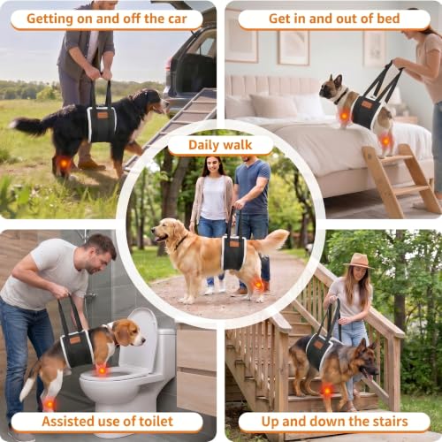 Adjustable Dog Lifting Harness (Black / Extra Large)