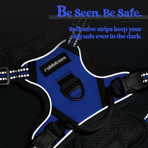 Dog Harness No Pull for Small Dogs with 2 Leash Clips (X-Small / Dazzling Blue)