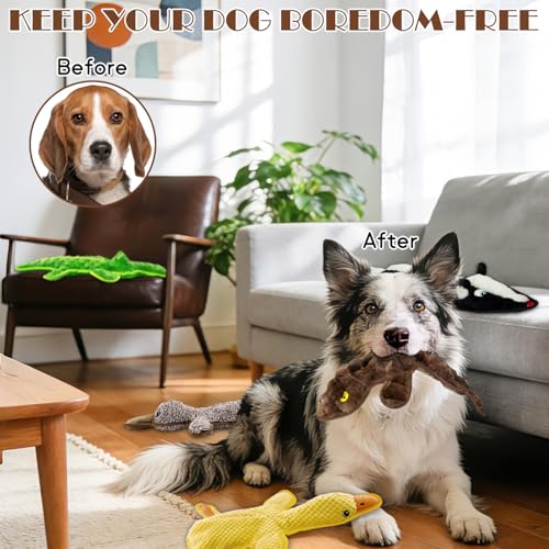 No Stuffing Dog Squeak Toys (Black, dark brown, green, yellow, coffee)