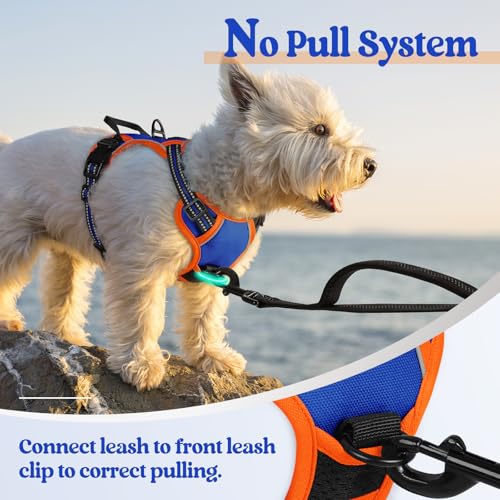 Dog Harness No Pull for Small Dogs with 2 Leash Clips (X-Small / Blue & Orange)