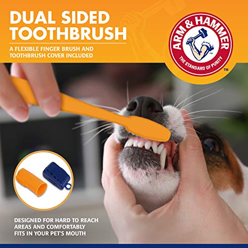 Tartar Control Dog Dental Kit (2.5 Ounce (Pack of 48))