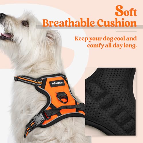 Dog Harness No Pull with 2 Leash Clips (X-Small / Orange)