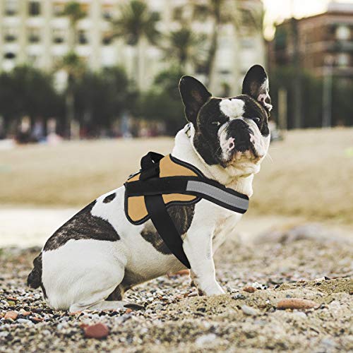 Dog Harness No (Medium (Pack of 1) / Army yellow)