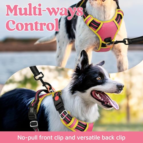 Dog Harness Medium Sized (Pink & Yellow / Medium)