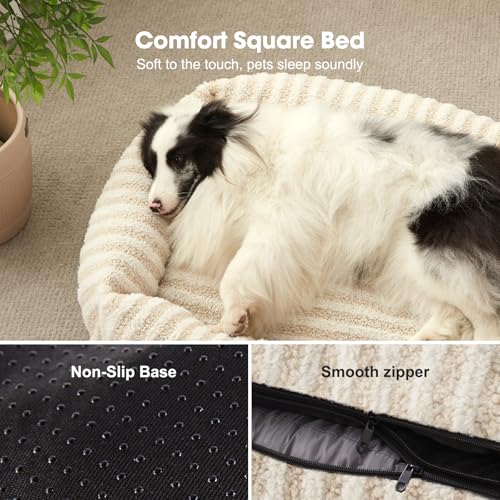 Dog Bed for Medium Sized Dogs (White / S Plus(25"Lx21"Wx7"Th))