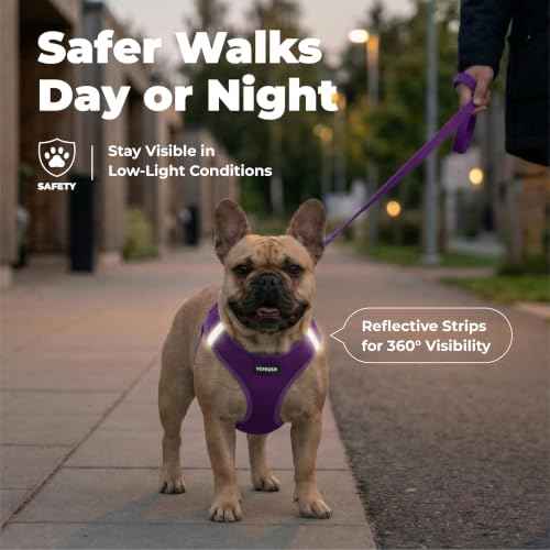 Voyager Step in Air Dog Vest Harness (Purple / XL (Chest: 20.5 - 23"))