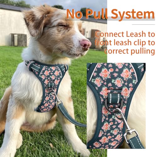 Dog Harness Reflective (M / Flower Blackish Green)