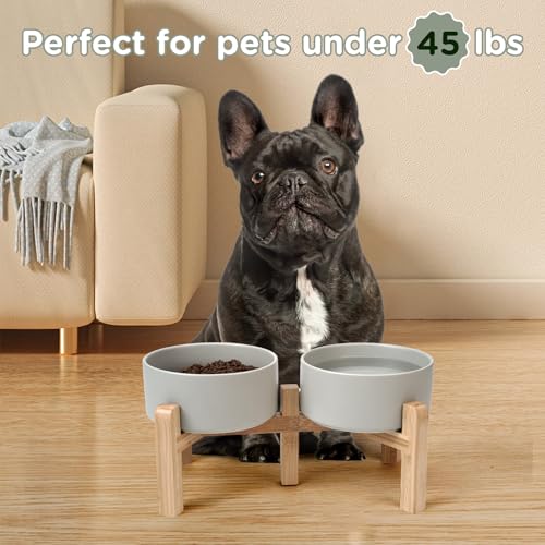 Elevated Dog Bowls Ceramic (6.1 in - 3.6 cups / Grey)