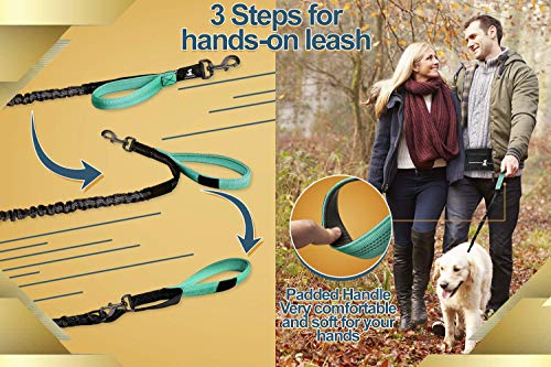 Hands Free Dog Leash (Premium Teal / 1 dog M/L)