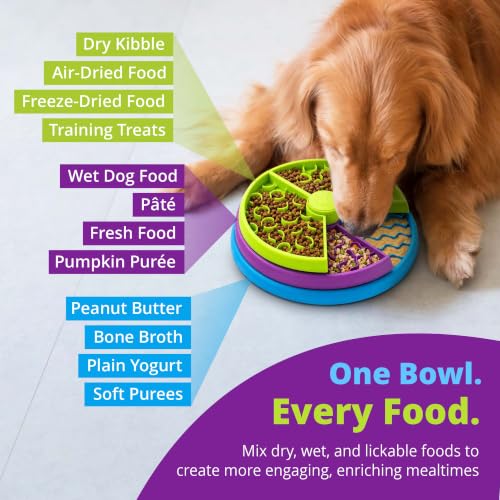 Slow Feeder Maze Dog Bowl