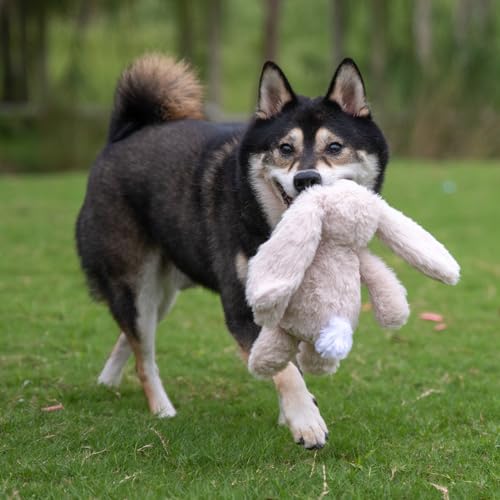 Bunny Buddy Squeaky Plush Dog Toy (Bunny (Beige) / Small)