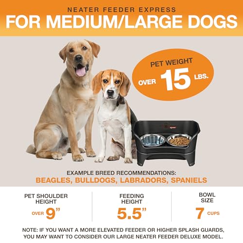Express Mess Proof Dog Bowls Elevated for Medium to Large Sized Breed (Medium to Large w/ Standard Bowls / Midnight Black)