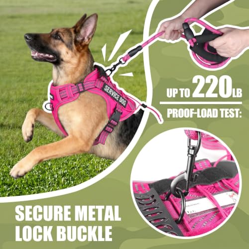 Dog Harness and Leash Set for Large Dogs (Rose Red / L)