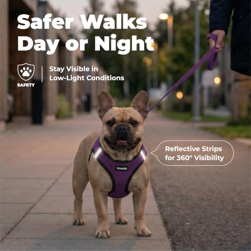 Voyager Step in Air Dog Vest Harness (Purple/Black Trim / XS (Chest: 13 - 14.5"))