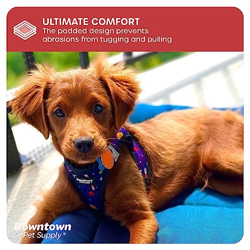 Step in Dog Harness (XS / Space)
