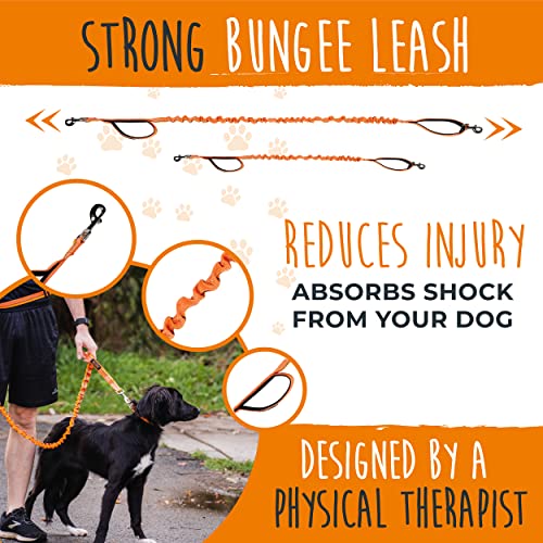 Hands Free Dog Leash (48" / Orange)