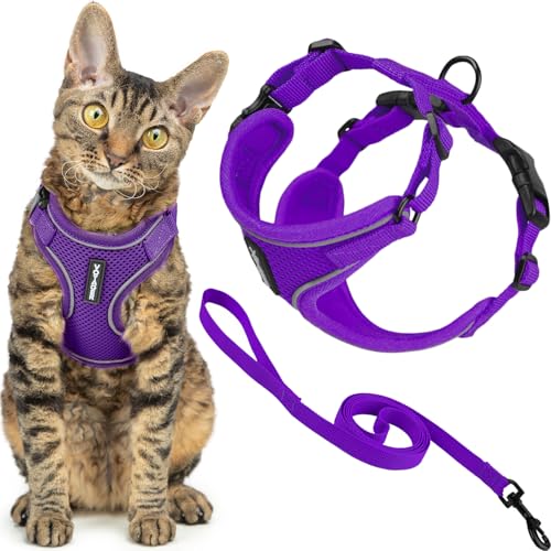 Voyager Escape (Purple (327) / S (Chest: 15 - 18"))