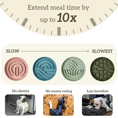 Slow Feeder Dog Bowl (Light Blue)