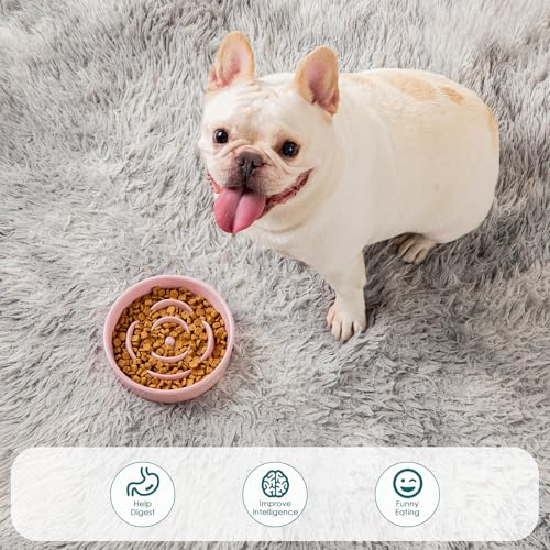 Ceramic Slow Feeder Dog Bowl (S - 0.6 Cups / Pink)