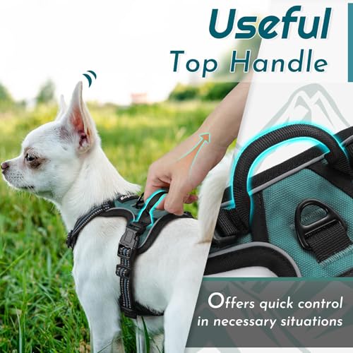 Dog Harness for Small Dogs (X-Small / Dark Green)